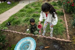 EAST LOS ANGELES, CA-MAY 20, 2022: Erick Garcia, 2, watches as his sister Aryanna, 6, waters newly planted watermelon seeds 