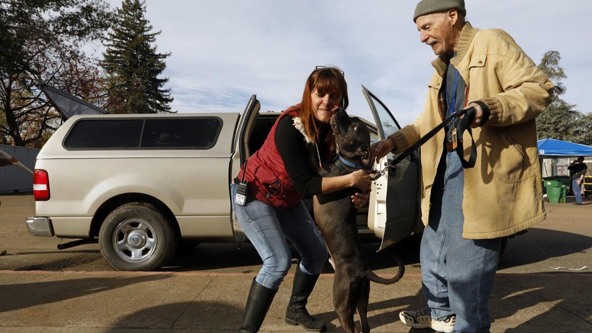 Mari Stewart, a nursing supervisor, gets a kiss from dog Max, who has been staying at the East Avenue Church with his owner David Bravot, 78, for the last month.