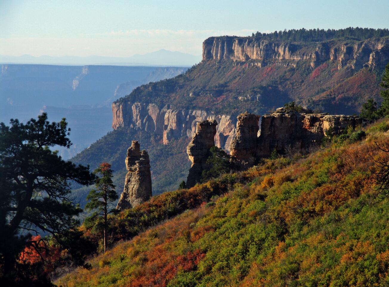 Grand Canyon North Rim