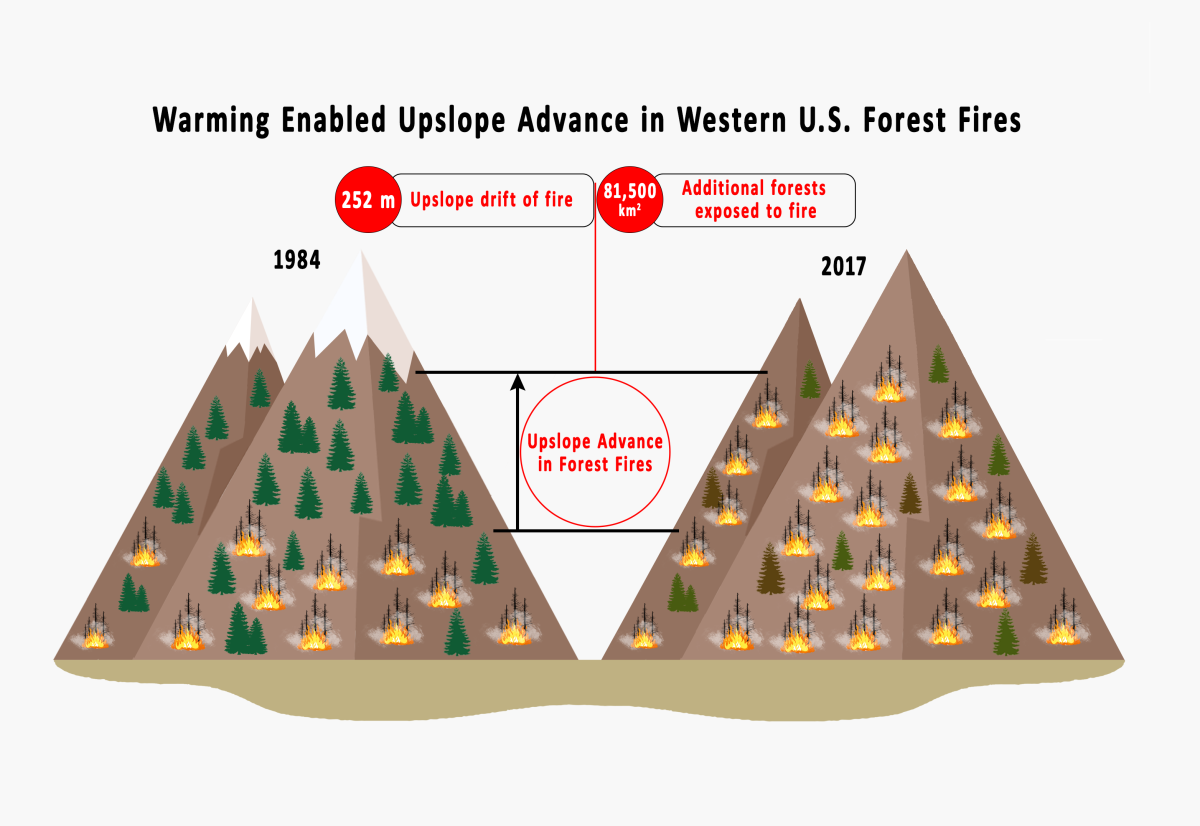 On average, fires have spread 826 feet higher into the mountains in recent decades.