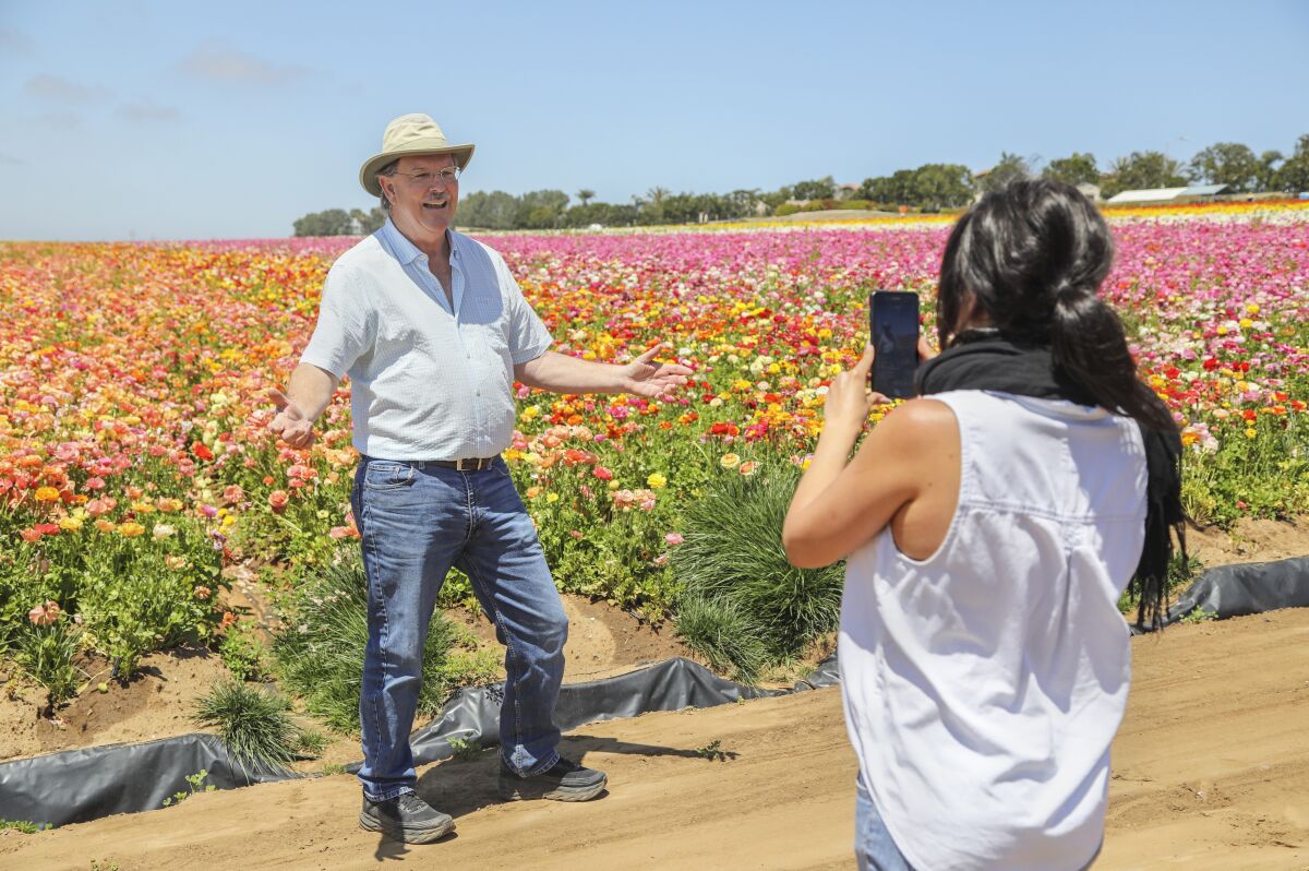 Fred Clarke, general manager at The Flower Fields, shoots an Instagram Live video with publicist Sonja Strand on Thursday in Carlsbad. The fields are in full bloom but the popular springtime attraction is closed to the public.