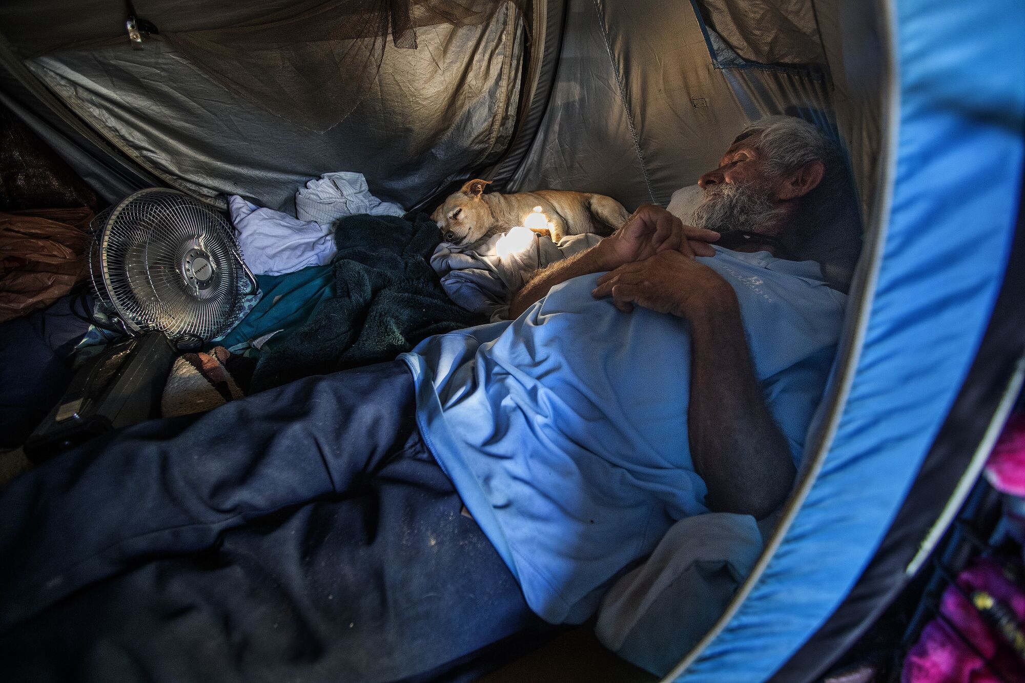 Augustine Hurtado, who has been homeless for the past three years, sleeps inside his tent in South Los Angeles.
