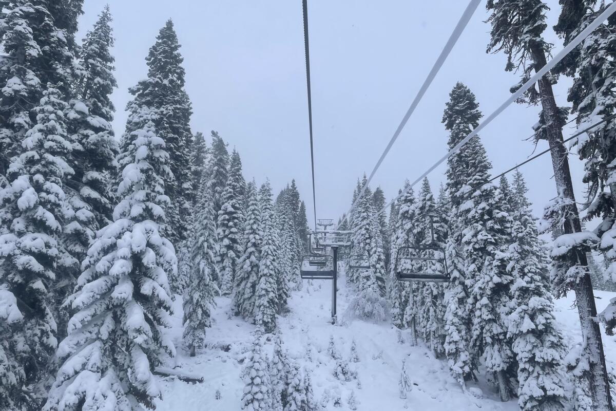 Snow blankets trees and chairs on a ski lift