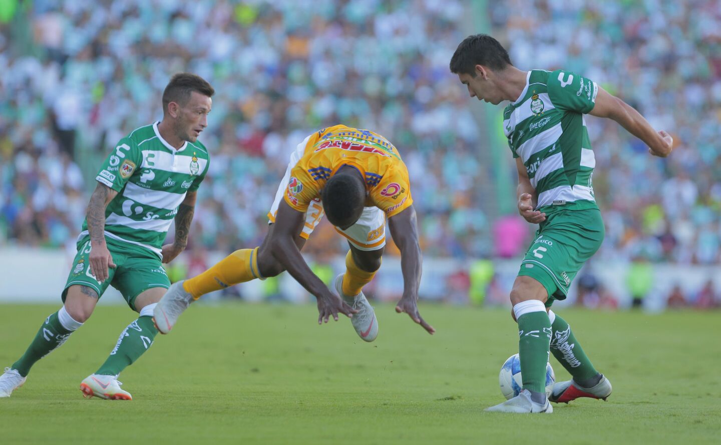 Julián Quiñones (c), de Tigres, cae entre los jugadores de Santos Brian Lozano (izq.) y Jesús Angulo (der.).