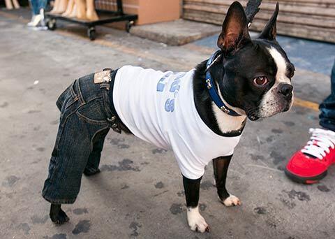 Street Fashion: Santee Alley