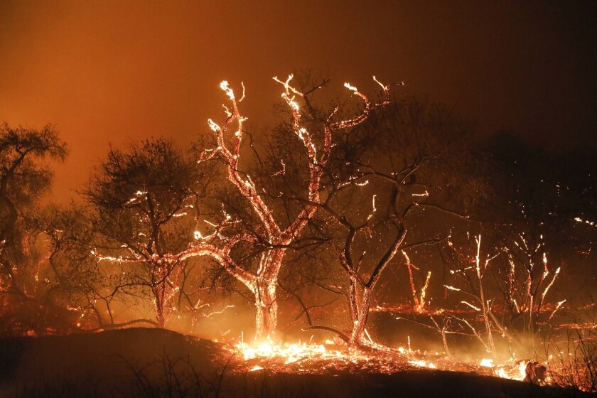 California Fires Sudden Firestorm Forces Deadly Stampede At
