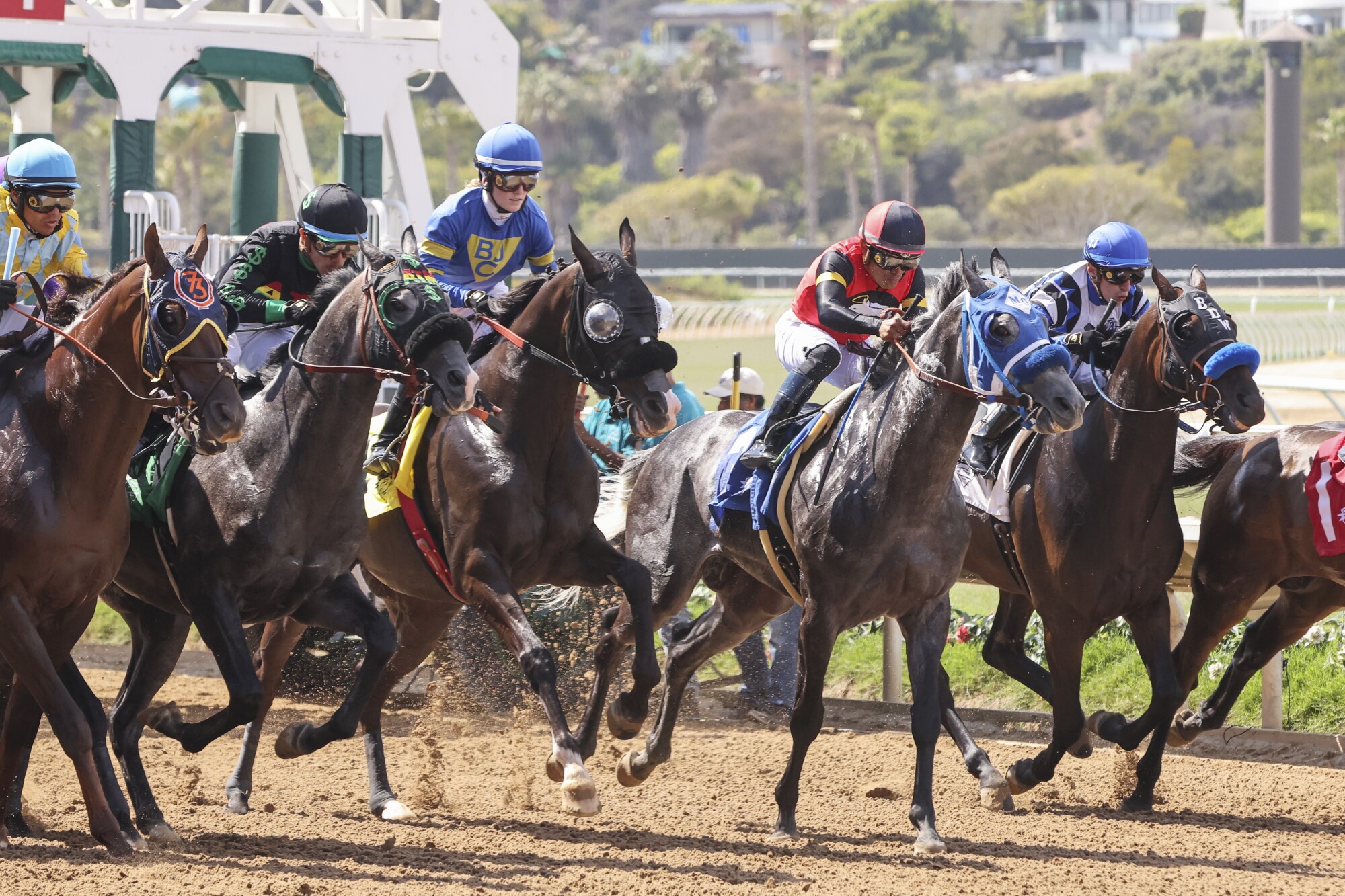Horses leave the starting gate in the 4th race on Opening Day at the Del Mar Racetrack.