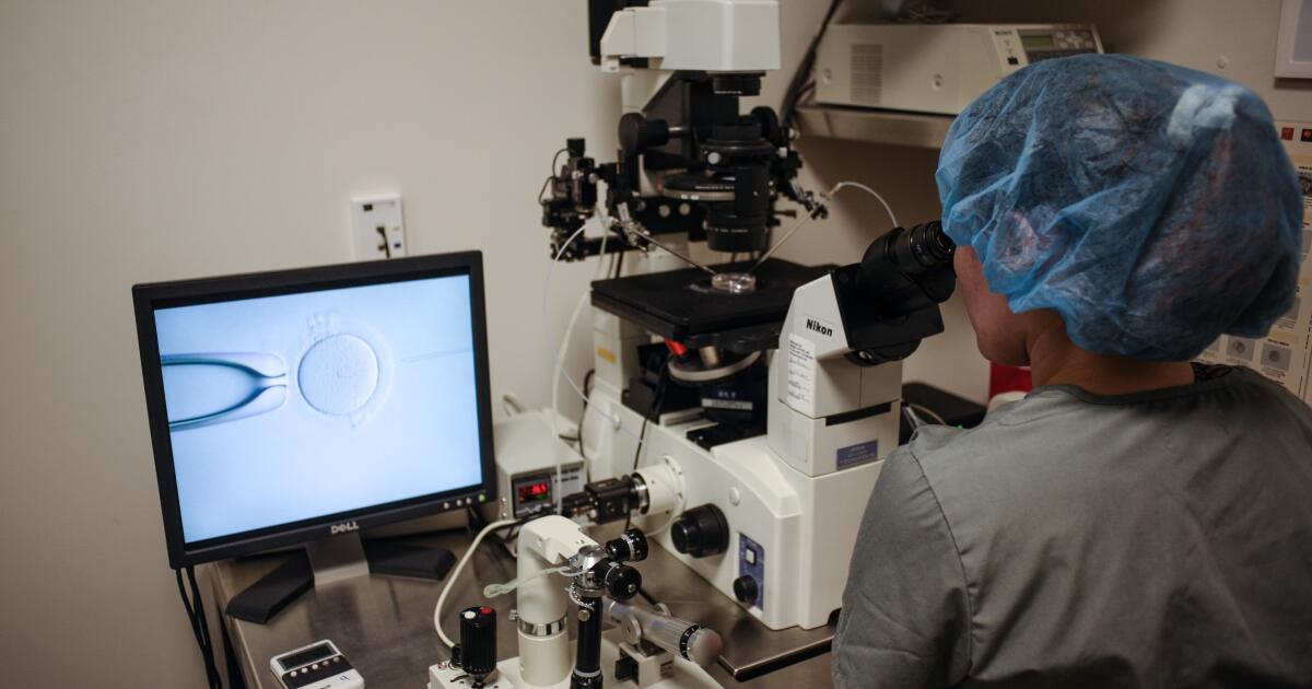 Abcarian: Would you expect a firefighter to run into a burning building to save a frozen embryo? Abcarian: Would you expect a firefighter to run into a burning building to save a frozen embryo?