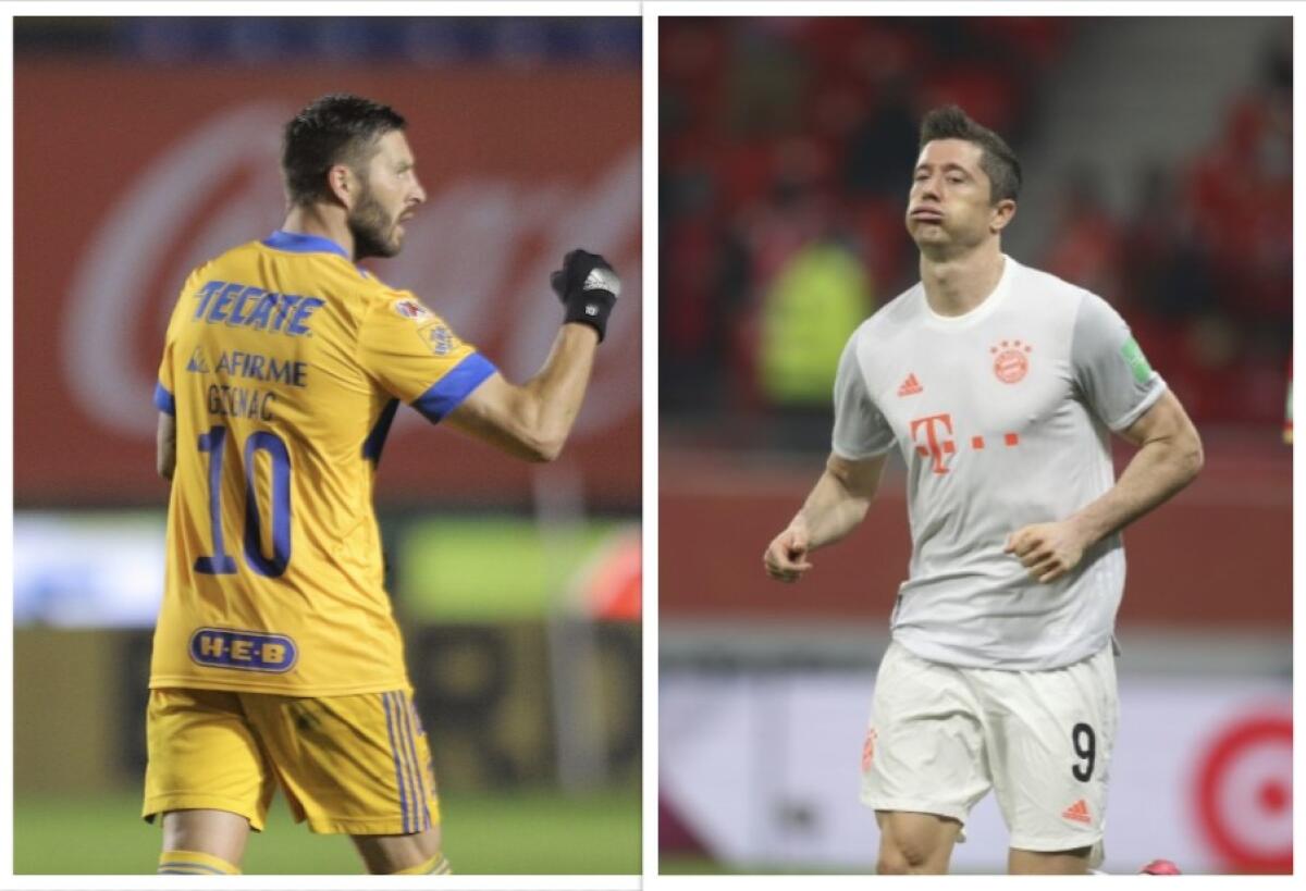 André Pierre-Gignac (izq.) y Robert Lewandowski (der.).