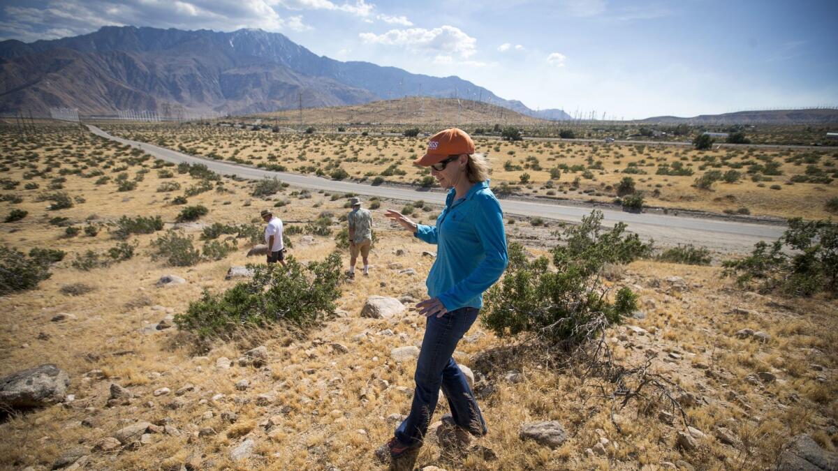 Geologist Kate Scharer walks directly on the San Andreas fault during a tour in the Coachella Valley.
