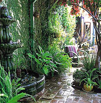 The garden path between the front gate and the studio leads past ferns and callas, a spilling fountain and potted geraniums and flax. An old bougainvillea cools a seating spot along the way.