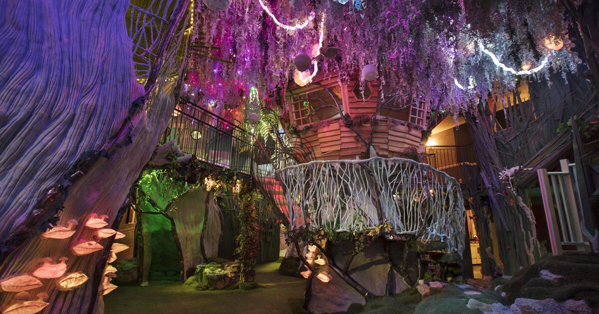 Experimental art collective Meow Wolf is coming to L.A.