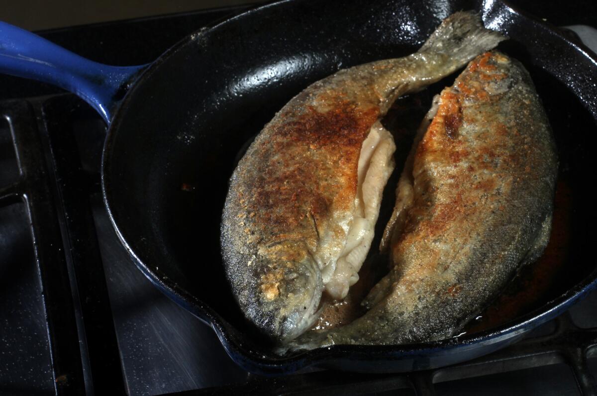Pan fried trout in the studio on Aug. 27, 2015.