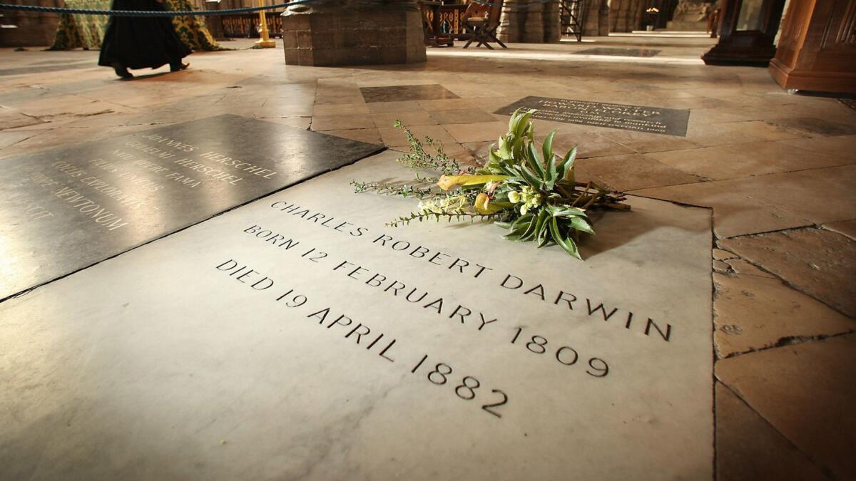 Charles Darwin's grave at Westminster Abbey in London.