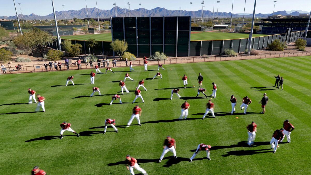 Arizona Diamondbacks players stretch during spring training baseball workouts Thursday in Scottsdale.