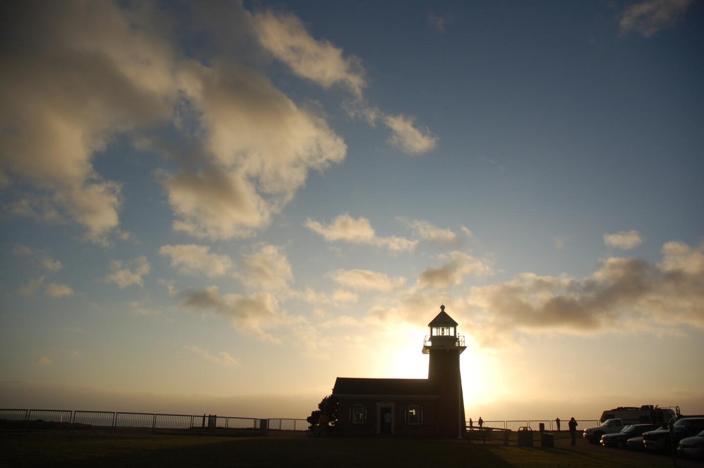 What with the redwoods, the shapely waves, the historic beachfront amusement park and the barking sea lions under the old wharf, Santa Cruz has always possessed plenty to lure tourists.