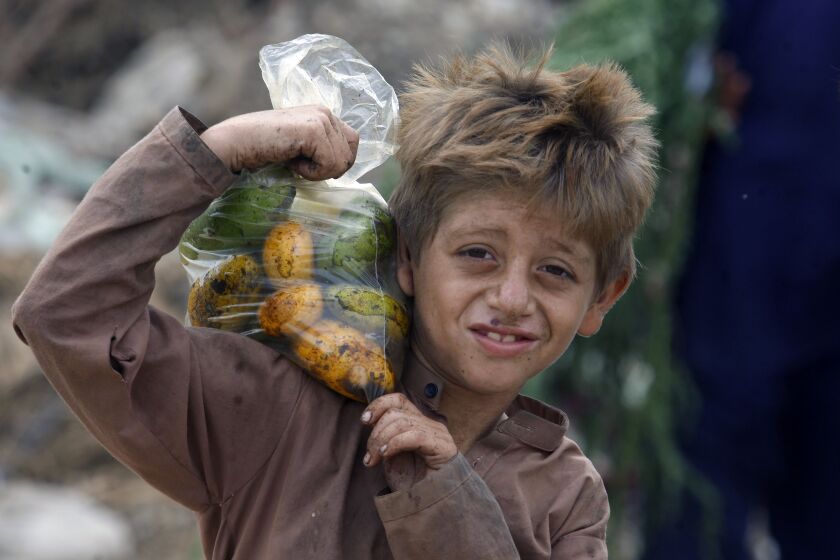 FILE - An Afghan refugee boy carries a bag of mangoes on his shoulder in Karachi, Pakistan, Sunday, June 19, 2022. International creditors should provide debt relief to Sri Lanka to alleviate suffering as its people endure hunger, worsening poverty and shortages of basic supplies, Amnesty International said in a statement Wednesday, Oct. 5, 2022. (AP Photo/Fareed Khan, File)