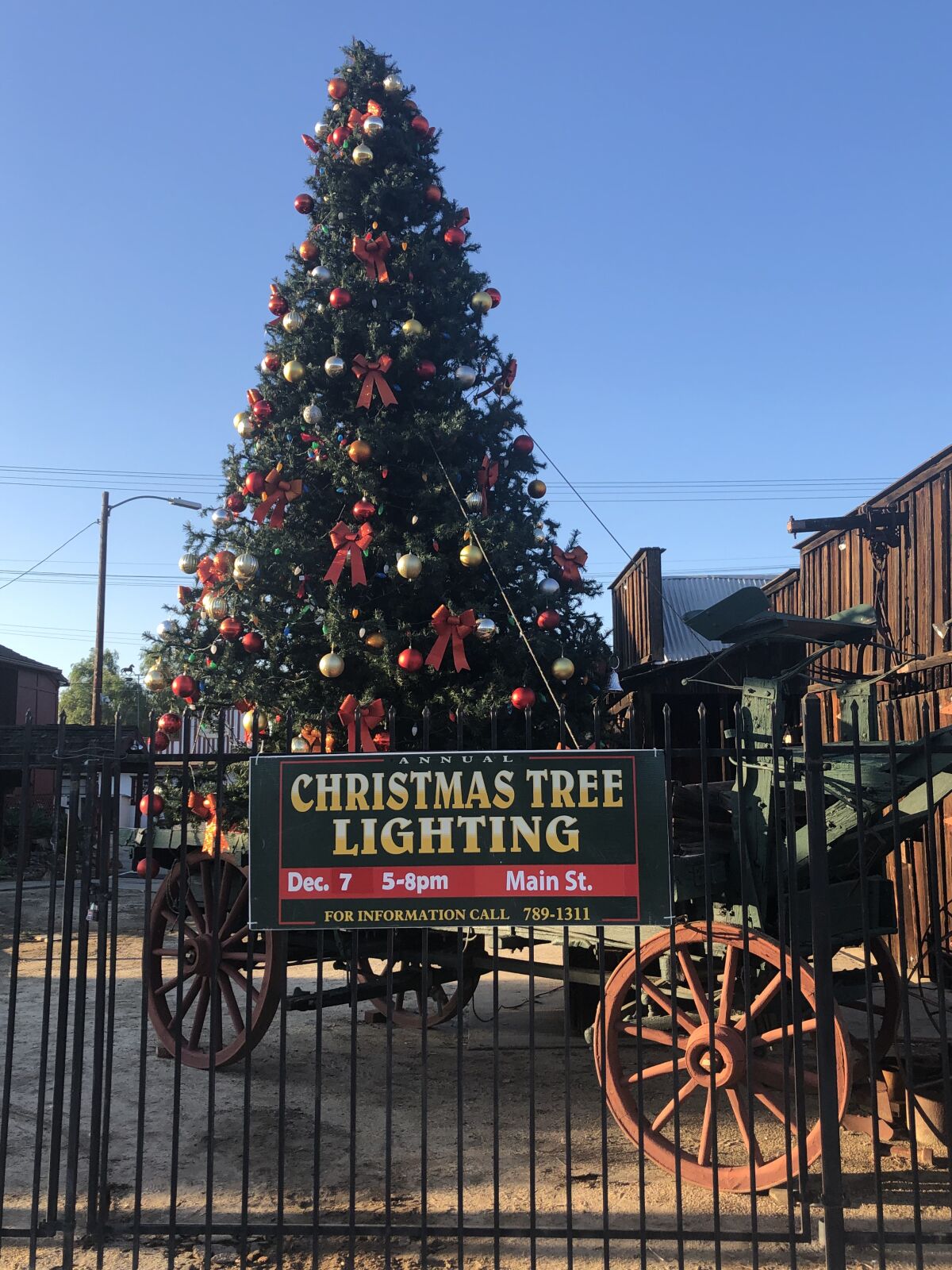Ramona Christmas tree 2019