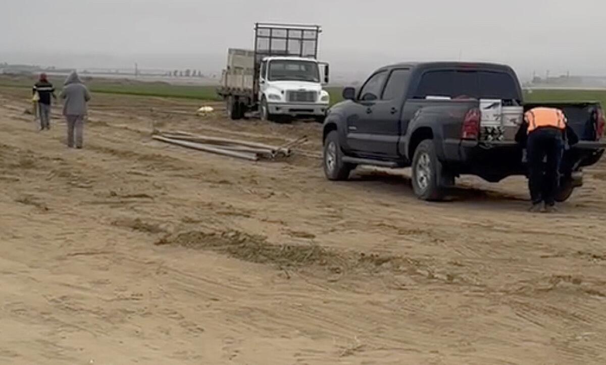 Two people walk past a work truck stopped in the dirt by a field of crops as a third leans into the bed of a nearby pickup