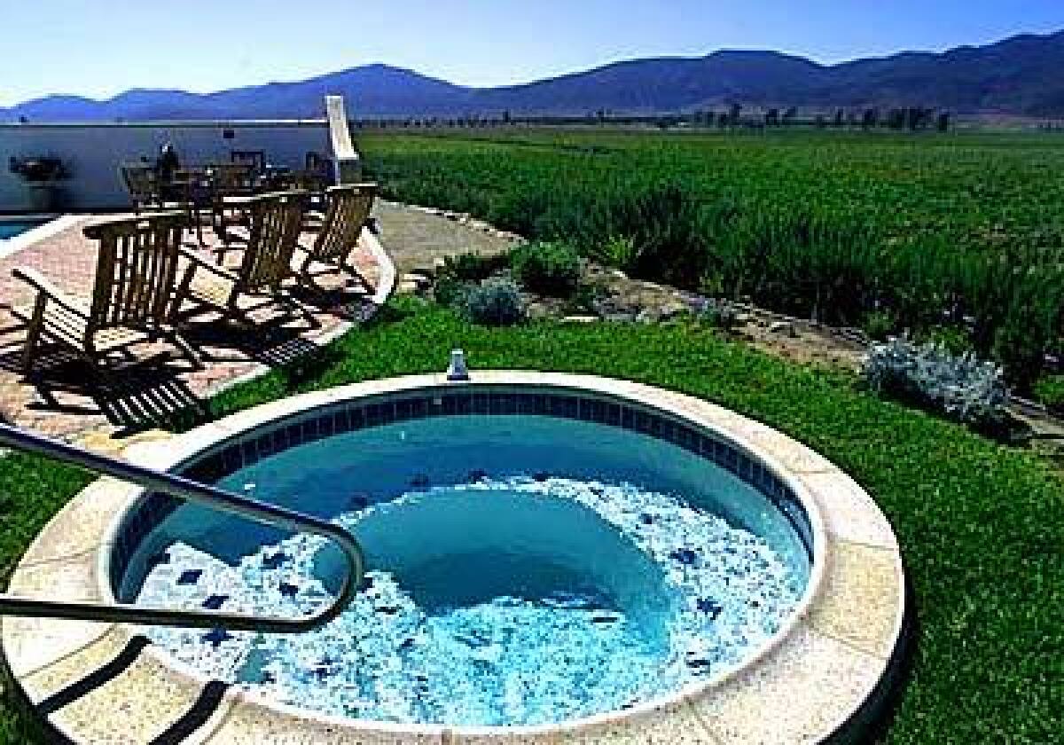A tiled hot tub and swimming pool overlook the vineyards of the Adobe Guadalupe, a working winery and B&B in Baja California.
