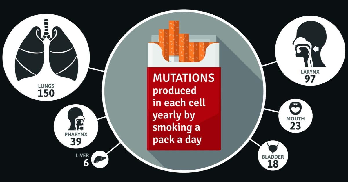 cigarettes cause Cancers linked to tobacco use make up 40% of all cancers diagnosed in the United States | CDC Online Newsroom Every year of smoking causes