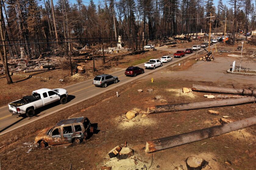 PARADISE, CALIFORNIA--FEB. 25, 2019--Traffic is lined up on Skyway Road in Paradise on Feb. 23, 2019. Trees have been cut all along the main roads of Paradise as a safely precaution. A bit of life is returning to Paradise, CA three months after the Camp Fire devastated the town. (Carolyn Cole/Los Angeles Times)