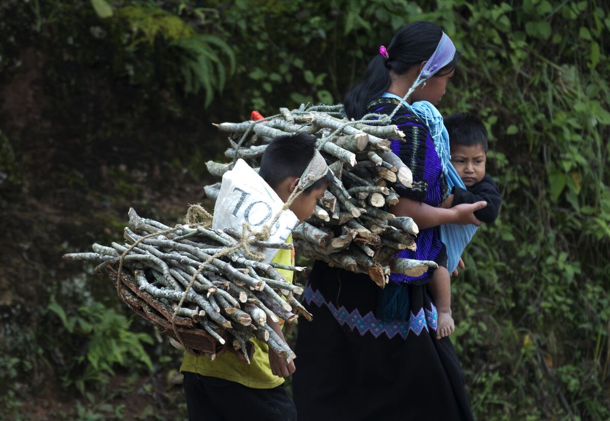 A family hauls firewood in Yibeljoj, in Mexico's Chiapas state, home to many indigenous communities.