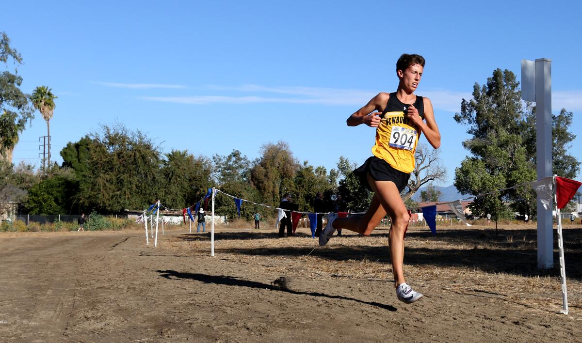 Newbury Park senior Nico Young has been selected the Gatorade cross-country runner of the year.