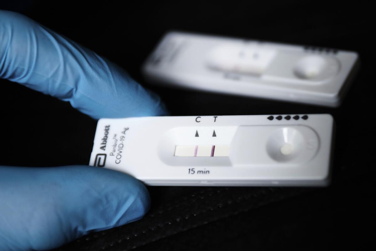 Gloved fingers hold a positive result of a COVID-19 rapid antigen test