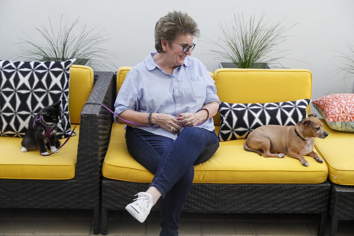 Beverly Mitchell sits with a cat on a leash and a small dog.