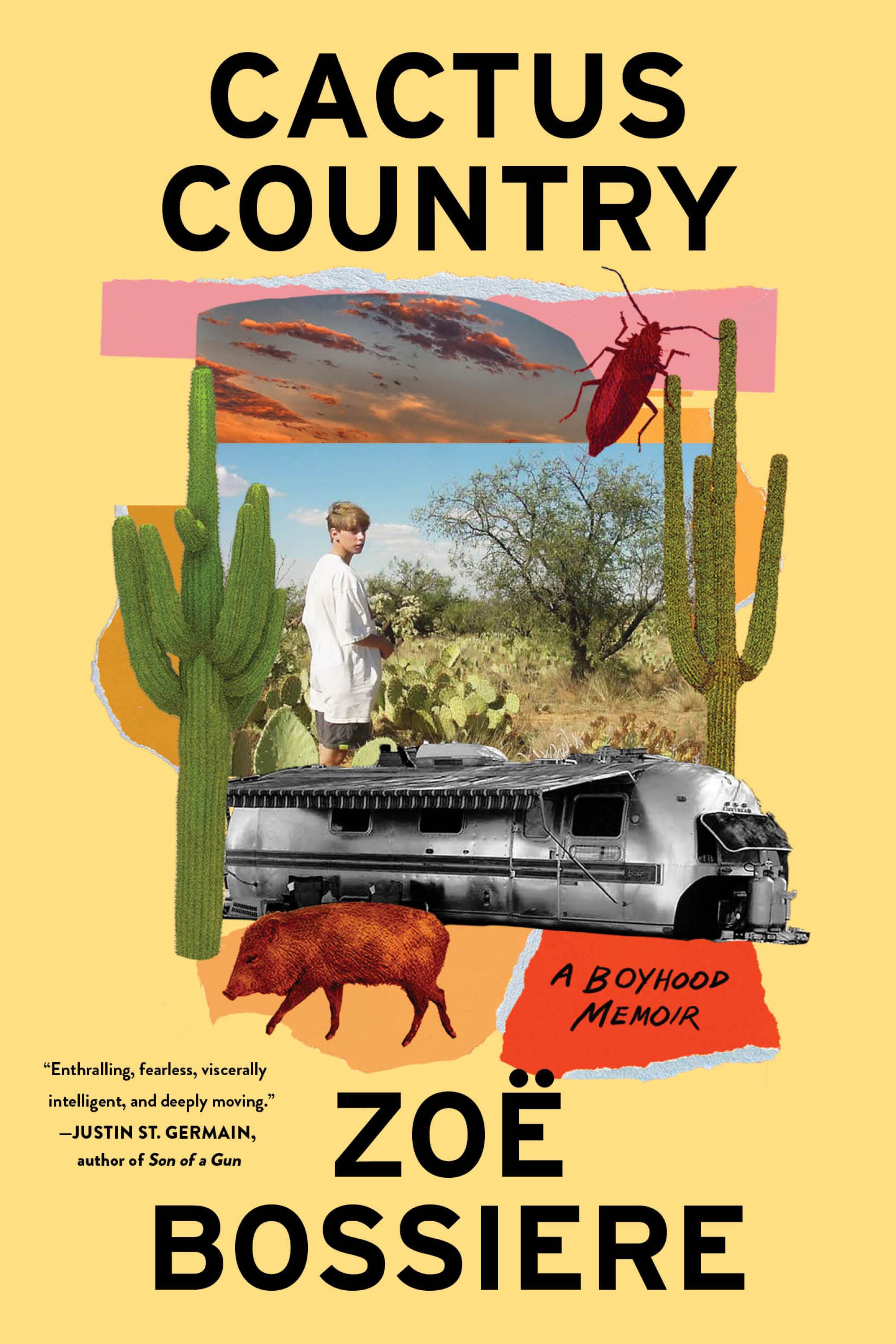 "Cactus Country" by Zoë Bossiere