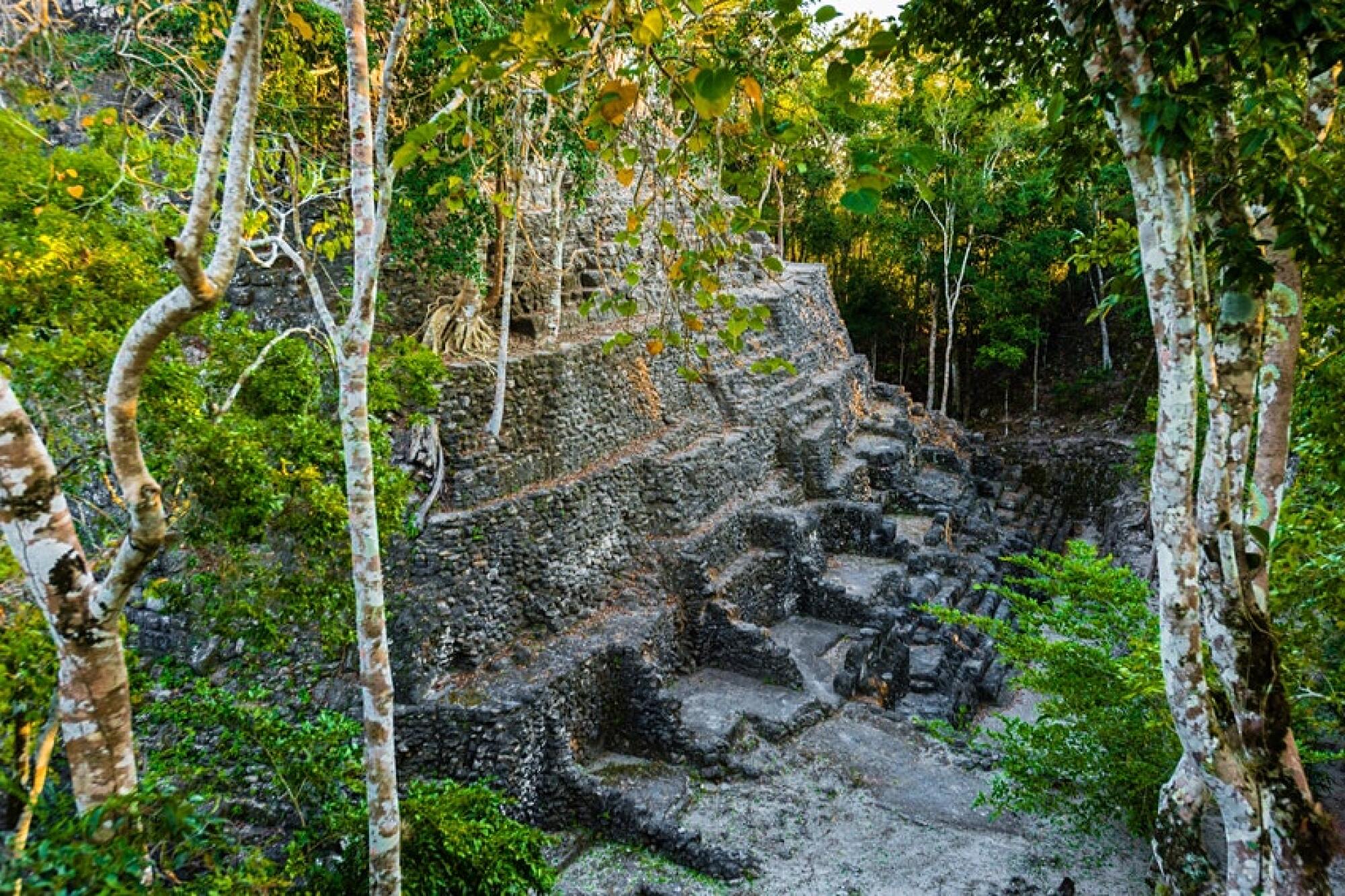 The side of a pyramid surrounded by jungle greenery 