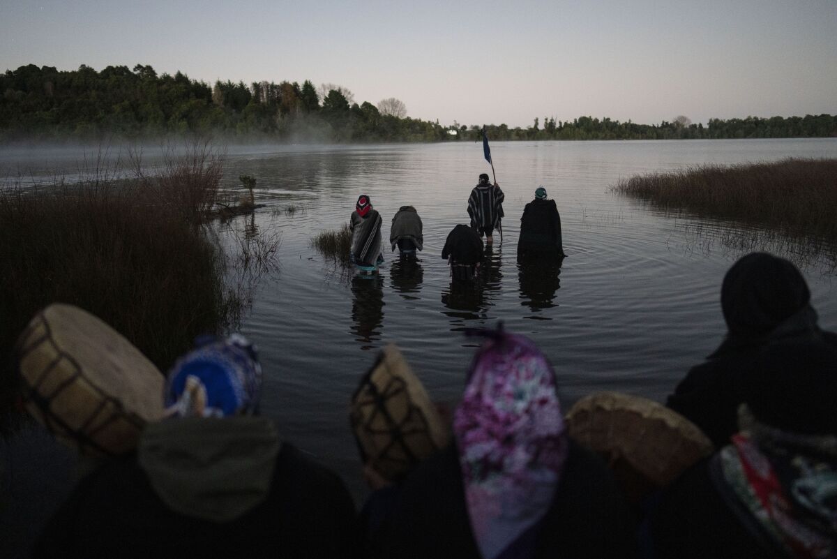 Mapuche people take a ceremonial dip in Lake Rupanko during a purification ritual marking We Tripantu, the Mapuche new year, in the Corayen community of Los Rios, southern Chile, on Tuesday, June 21, 2022. We Tripantu is one of the most sacred holidays for the Mapuche, Chile's largest Indigenous group. (AP Photo/Rodrigo Abd)