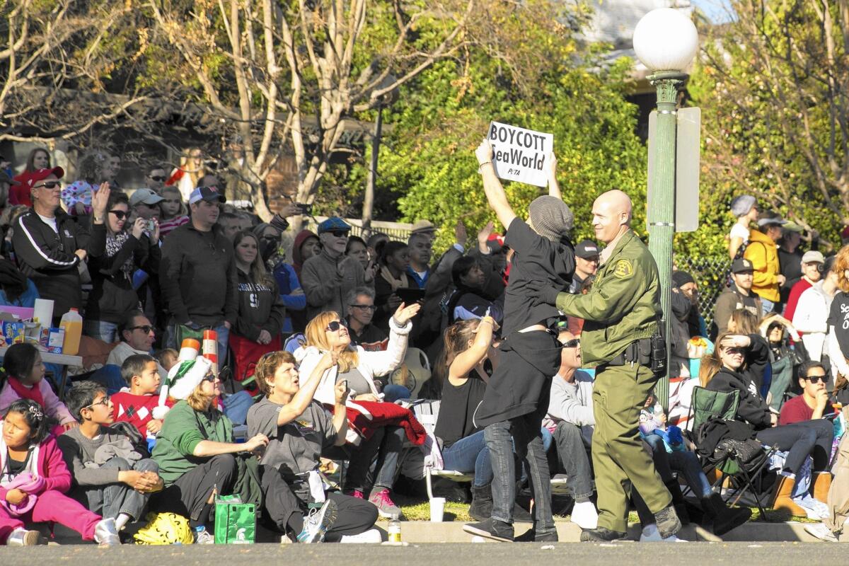 A PETA activist is arrested as he protests against the SeaWorld float, "Sea of Surprises," at the 125th Rose Parade in Pasadena on Jan. 1, 2014.