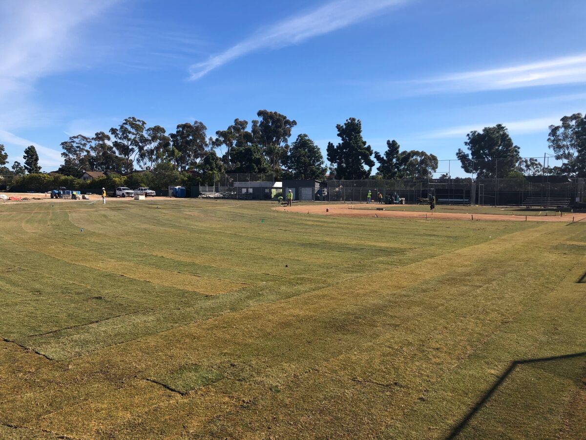 The field at Solana Vista.