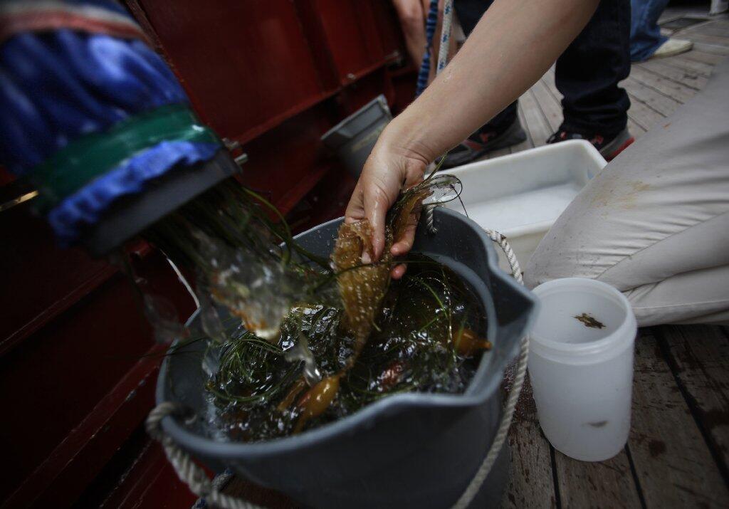 Gathering specimens