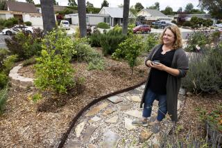 A landscape contest winner stands in her front yard .