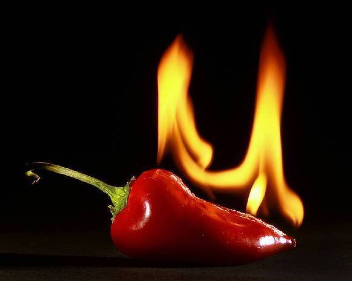 Kirk McKoy's photo shows a chile that is actually on fire.