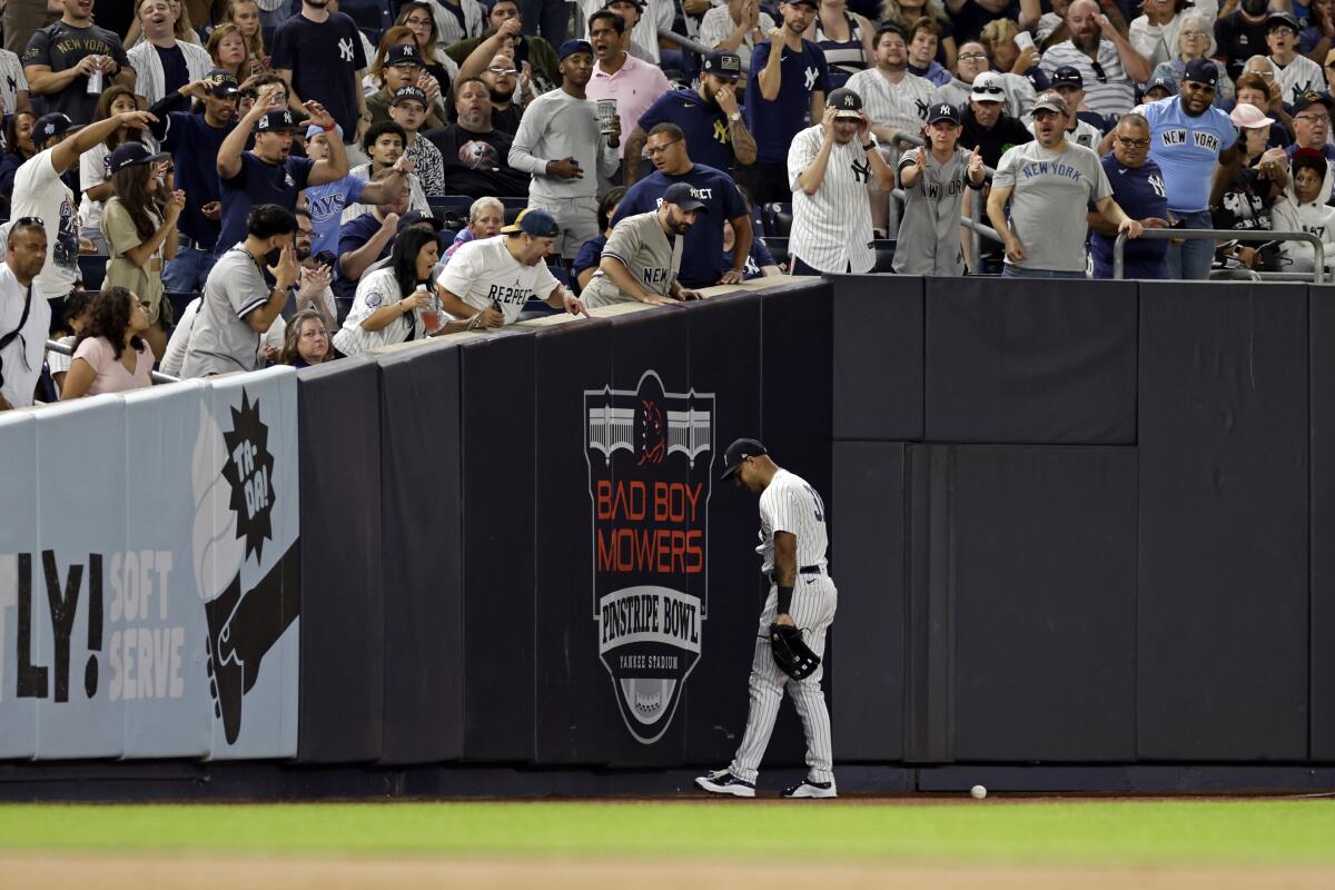 Rays fan saves life at baseball game 