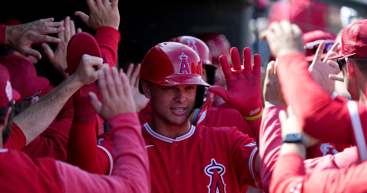 Angels pitchers have quickly become fans of catcher Logan O'Hoppe – Orange  County Register