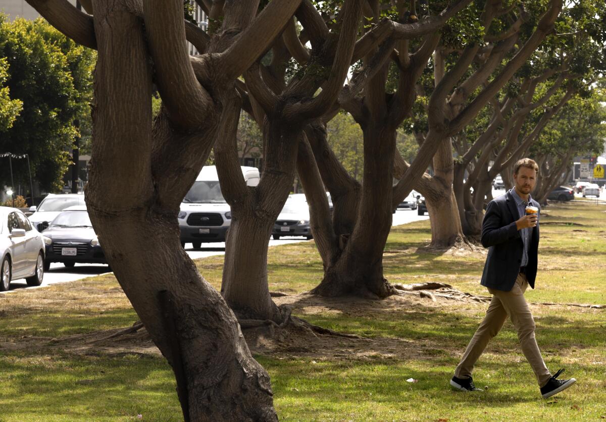 A pedestrian crosses a grassy median in Brentwood in 2022.