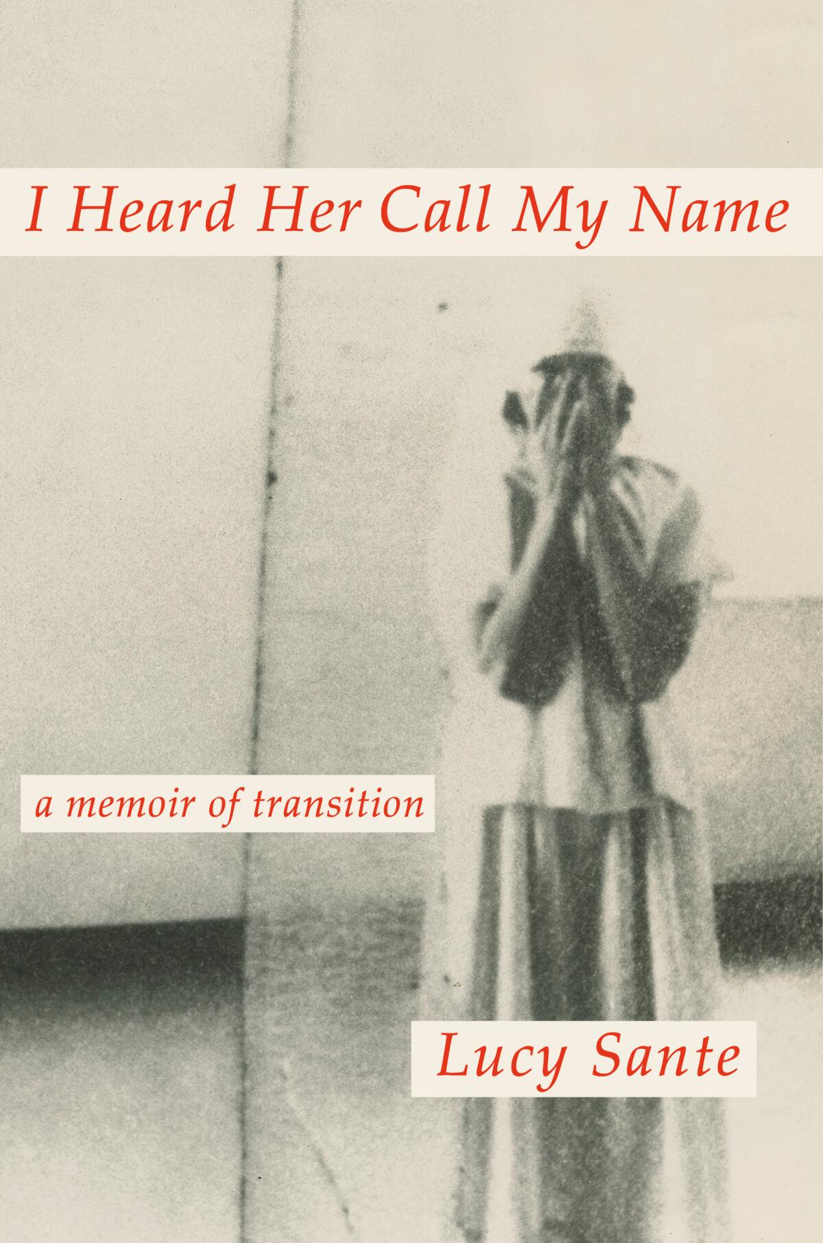 "I Heard Her Call My Name: A Memoir of Transition" by Lucy Sante