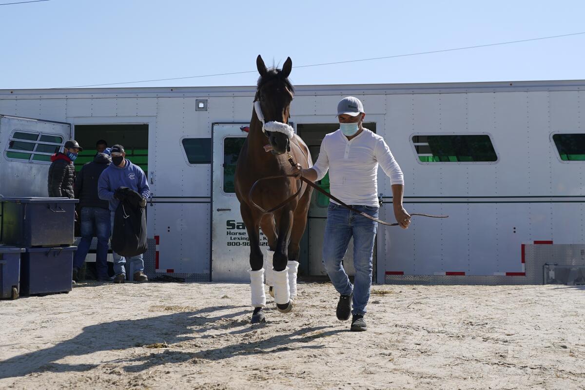 Risk Taking arrives at Pimlico Race Course ahead of the horse race.