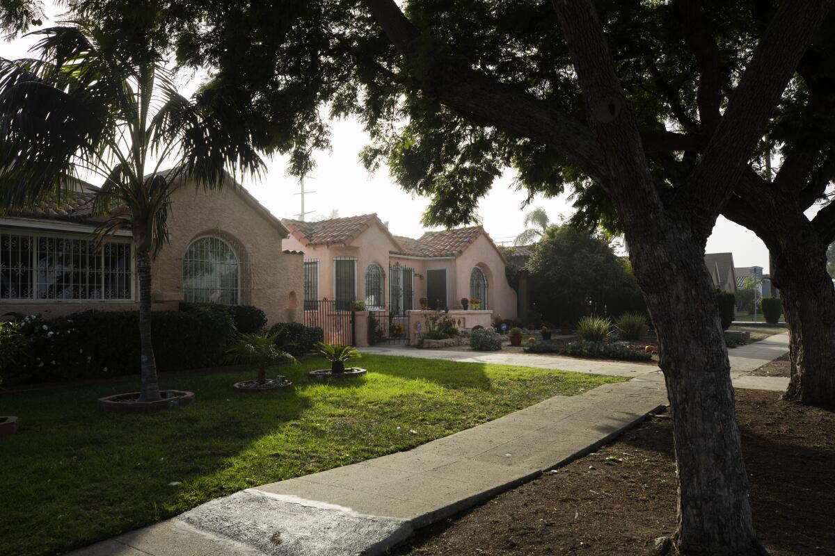 Row of homes in a South Los Angeles neighborhood.