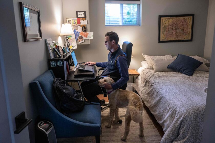 Danny Crouch pets his dog as he sits in his basement working from home in Arlington, Virginia, on May 25, 2023. The pandemic forced Americans to work from home. And now, more than three years on, employers are struggling to bring them back to the office. A third of employees in the US currently have complete freedom about where they work, compared with just 18 percent in France, according to a recent ADP study of 17 countries. (Photo by ANDREW CABALLERO-REYNOLDS / AFP) (Photo by ANDREW CABALLERO-REYNOLDS/AFP via Getty Images)