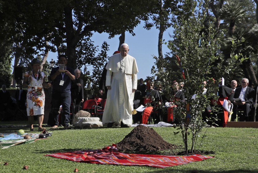 FILE - In this Oct. 4, 2019 file photo, Pope Francis walks towards a newly-planted oak tree during a tree-planting ceremony on the occasion of the feast of St. Francis of Assisi, the patron saint of ecology, at the Vatican. The COVID-19 pandemic has shown how the Earth can recover “if we allow it to rest” and must spur people to adopt simpler lifestyles to help the planet, which is “groaning,” under the constant demand for economic growth, Pope Francis said on Tuesday, Sept. 1, 2020, in his latest, urgent appeal to help a fragile environment. (AP Photo/Alessandra Tarantino, file)