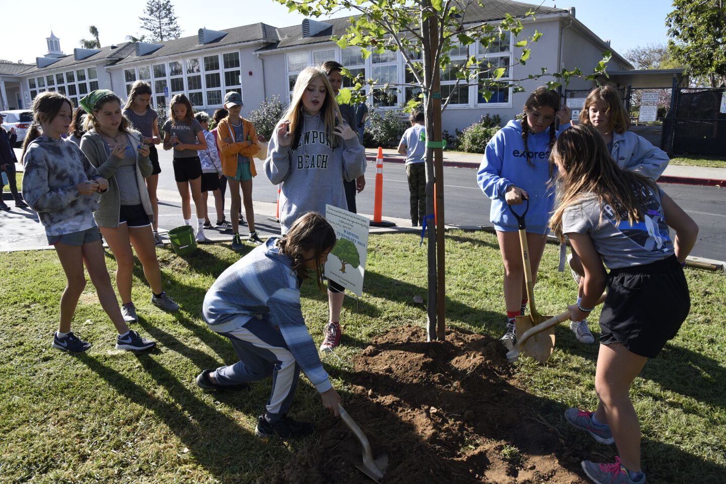 Students plant tree in front of PEC school