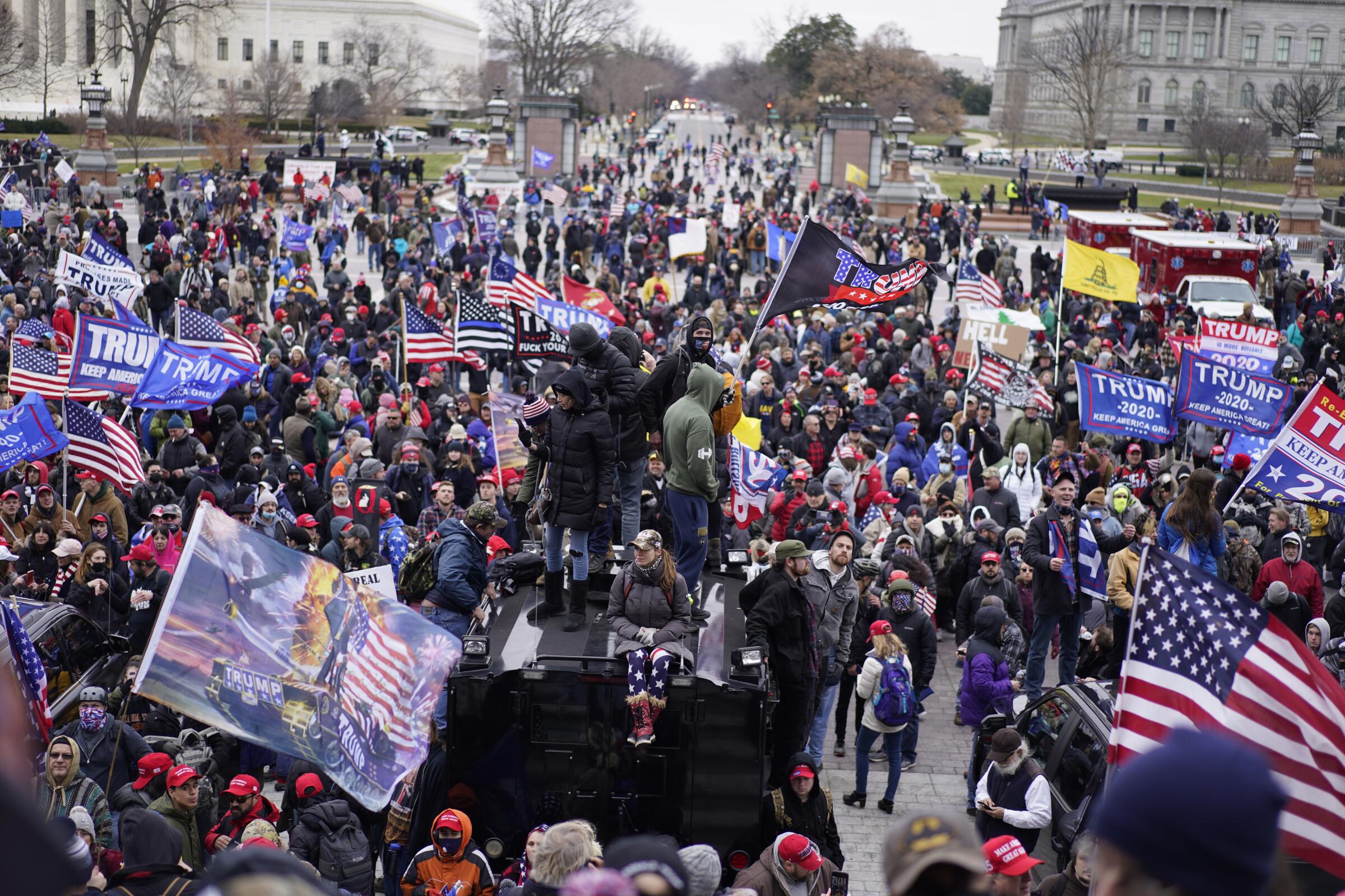 Protesters at the U.S. Capitol