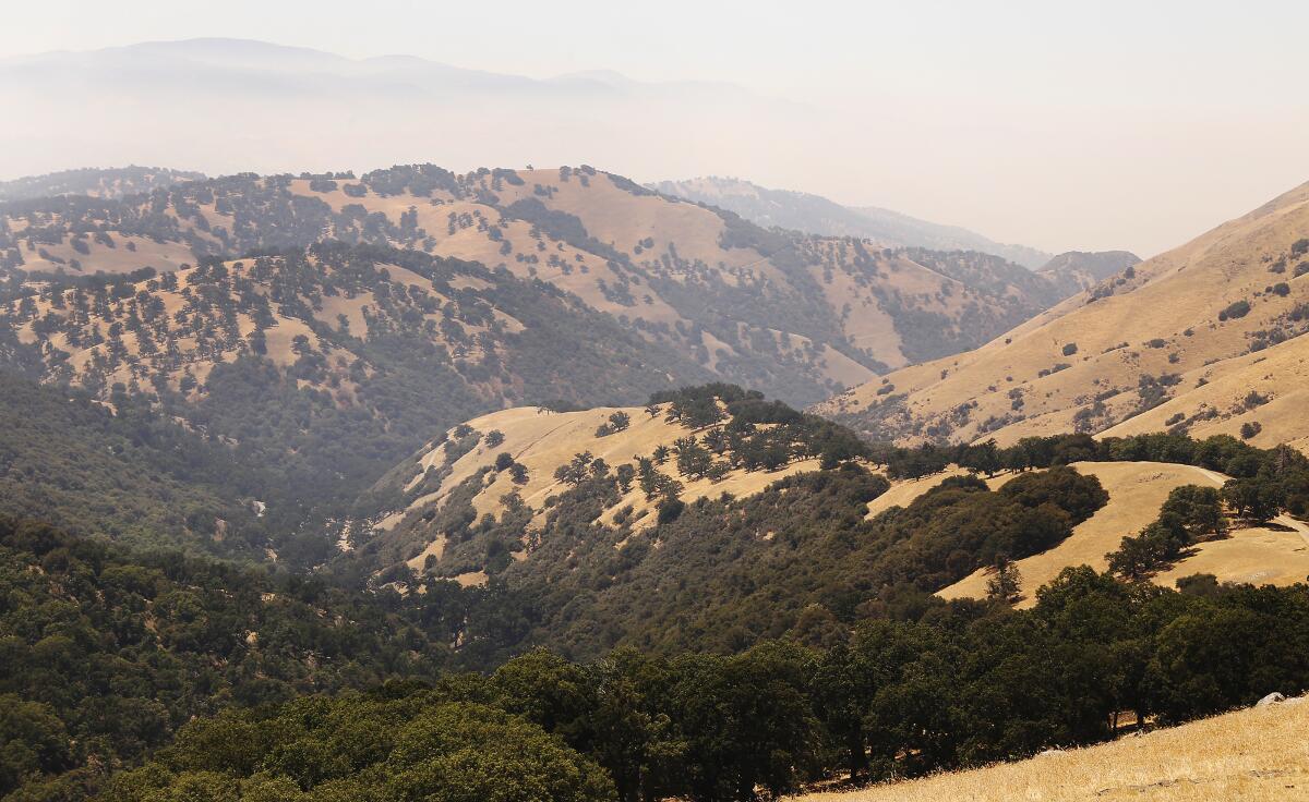 The oak-studded mountain tops of the Blue Ridge Range of Tejon Ranch