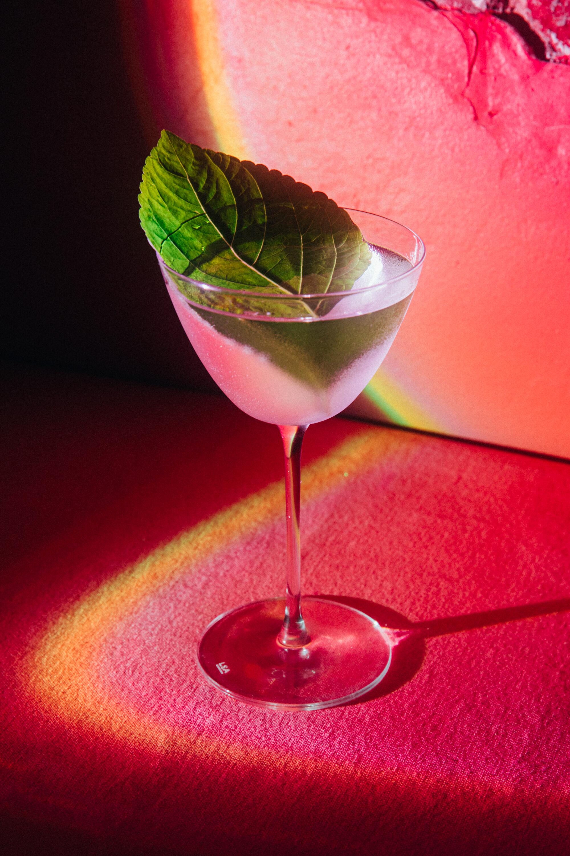 A clear cocktail in a stemmed glass with a leaf resting in it.